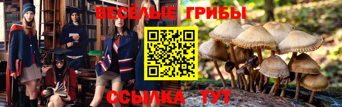 Галлюциногенные грибы Psilocybine cubensis  Вход с VPN  Камышлов 