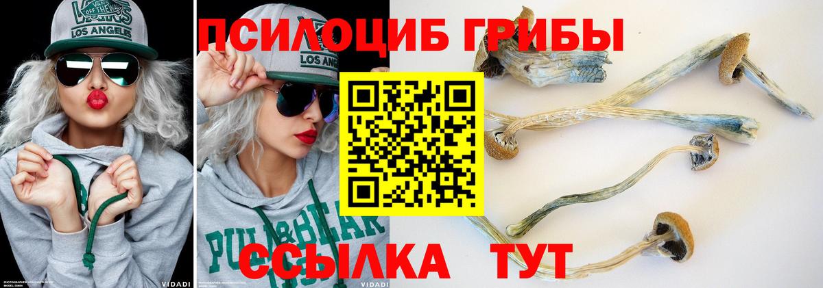 Галлюциногенные грибы GOLDEN TEACHER Камышлов